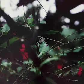 Gill, Simryn (Artist). Weeds of my Parents' Garden, 2018 | Print