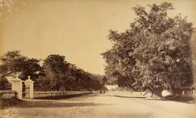 Bourne, Samuel (Photographer). View in Umballa, near the Simla Bank, 1864-1865 | Antiquarian Photograph