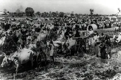 Irani, Faredoon A. (Cinematographer), Mother India, 1957 | Photographic Still