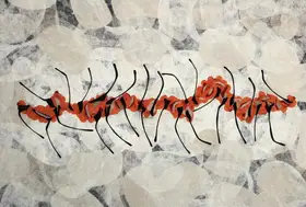 Parekh, Manisha (Artist). Wobble, 2005 | Drawing
