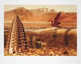Chhachhi, Sheba (Artist). Untitled, 2007 | Print