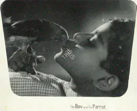Mir, Ezra (Director), Raju Aur Gangaram, 1964 | Lobby Card