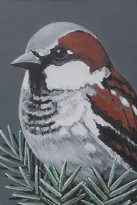 Krishnan, Rajan (Artist). Sparrow (Little Painting), 2011 | Painting