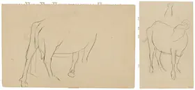 Sher-Gil, Amrita (Artist). A Double-sided Animal Study, n.d. | Drawing