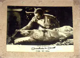Irani, Nariman A. (Cinematographer), Chaudhvin Ka Chand, 1960 | Lobby Card