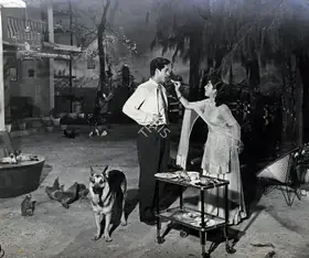 Dhuri, D.K. (Cinematographer), Love In Simla, 1960 | Photographic Still