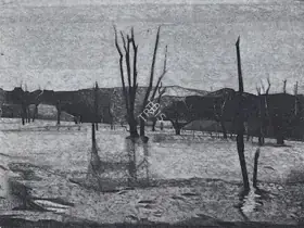 Sabavala, Jehangir (Artist). Petrified Trees 1, 1985 | Painting