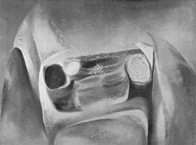 Prakash, Surya (Artist). Mobile Ten, 1967 | Painting
