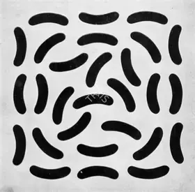 Roy, Ashu (Artist). Licoo-Licoo, 1966 | Graphic Art