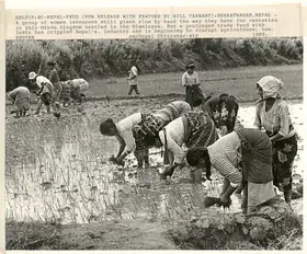 Chitrakar, Gopal (Photographer), Del01F: Bc - Nepal - Feud (For Release With Feature By Bill Tarrant): Bharatnagar, Nepal, 1989 | Contemporary Photograph