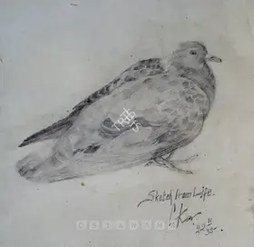 Kar, Chintamoni (Artist). Bird, 1935 | Drawing