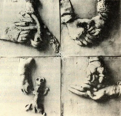 Subramanyan, K.G. (Artist). Fishes and Fossils, 1977 | Sculpture