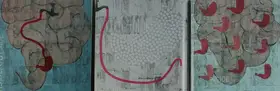 Singh, Anjum (Artist). Inside/Outside/Inside, 2002 | Painting