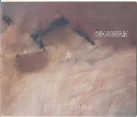 Dhawan, Rajendra (Artist). Dhawan: Recent Works, 2004 | Solo Exhibition Catalogue | 00875552