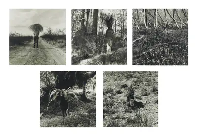 Gill, Simryn (Artist). Vegetation, 1999 | Print