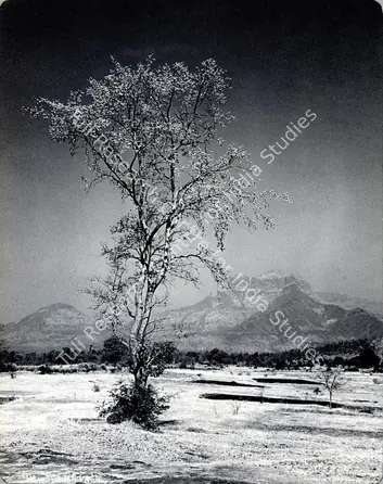 R.R. Bharadwaj Flip Album - page 57