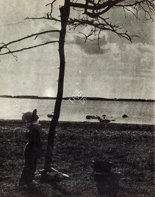 Sven Nykvist (Cinematographer), Nykvist, Sven (Cinematographer), The Final scene in The Sacrifice | Photographic Still, Photographic Still