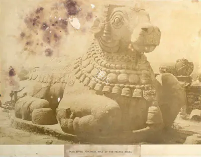 William Henry Pigou (Photographer), Colossal Bull At The French Rocks, 1856, Antiquarian Photograph