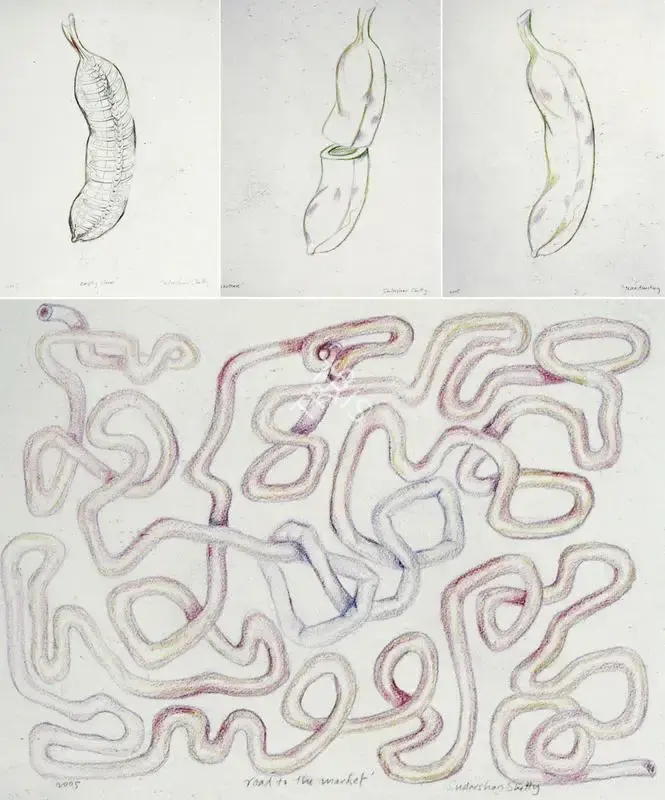 Sudarshan Shetty (Artist), Empty Chain, 2005, Drawing