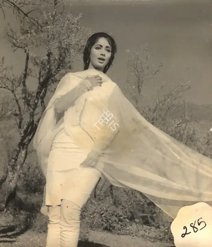 Ramanand Sagar (Producer), Arzoo, 1965, Photographic Still