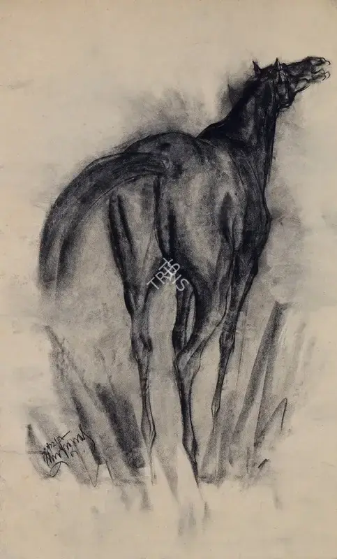 Sunil Das (Artist), Untitled (Horse), 1958, Drawing
