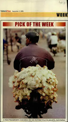Pick of the week, 2006, Newspaper Clipping