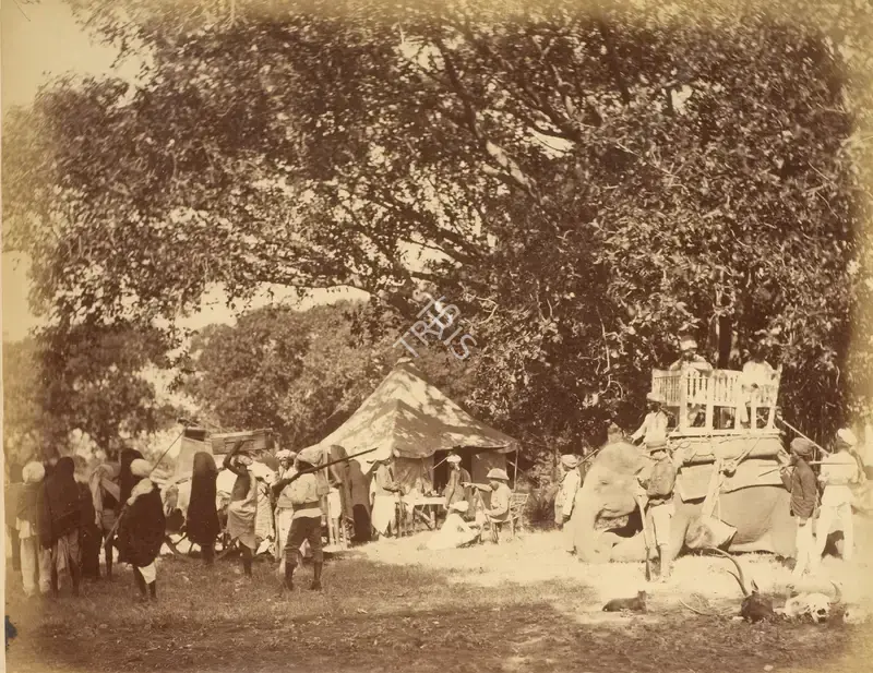 Willoughby Wallace Hooper (Photographer), Tiger Hunt, 1870, Antiquarian Photograph