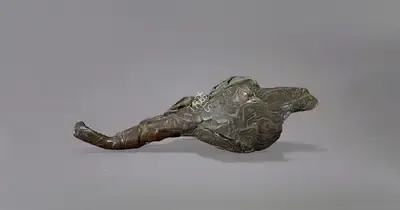 Mrinalini Mukherjee (Artist), Natural History #16, Sculpture