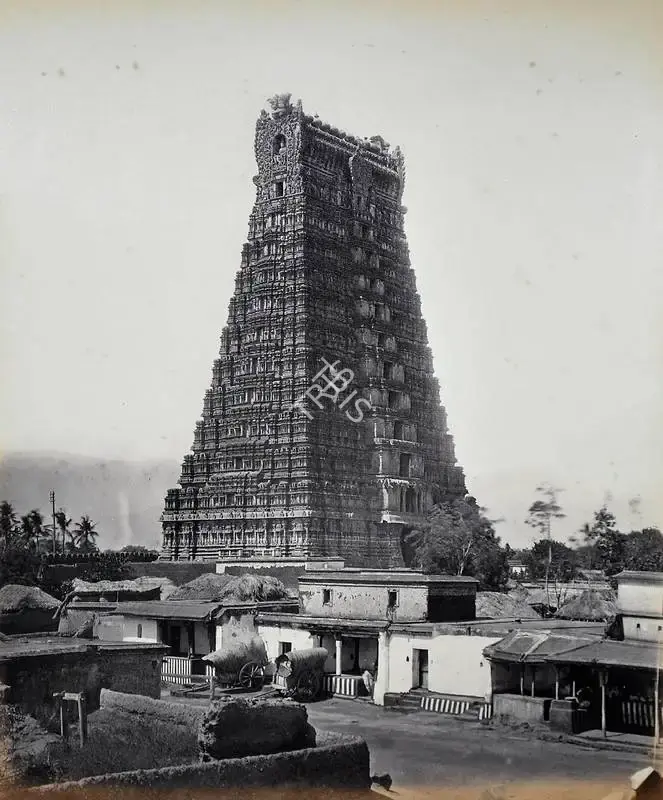 Edmund David Lyon (Photographer), Streevellipoottoor Pagoda. (large gopuram), Antiquarian Photograph