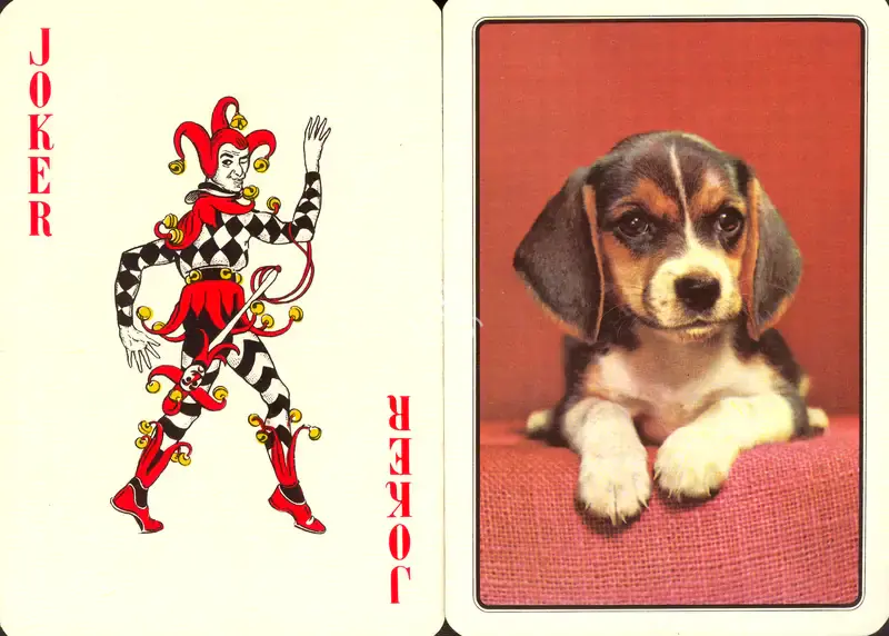 Kingsbridge - Imperial, Playing Cards