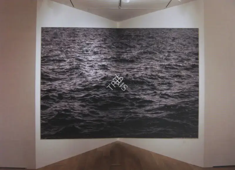 Rashid Rana (Artist), Offshore Accounts - 1, Print