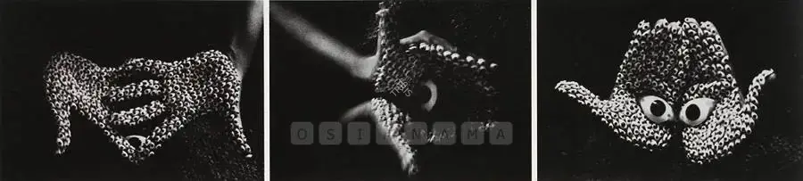 Anita Dube (Artist), Offering, 2000, Print