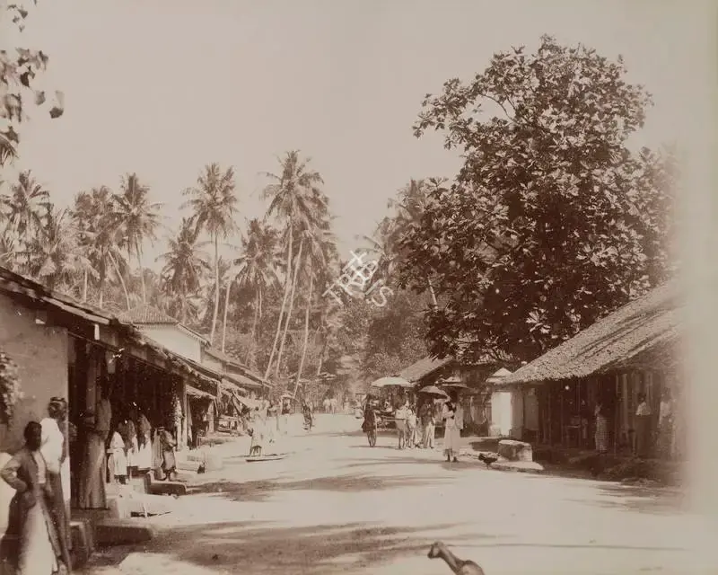 Unknown (Photographer), Moratuwa Road, Scun, 1901, Antiquarian Photograph