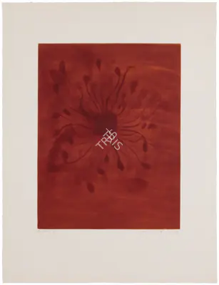 Anish Kapoor (Artist), Untitled No.8, 1988, Graphic Art