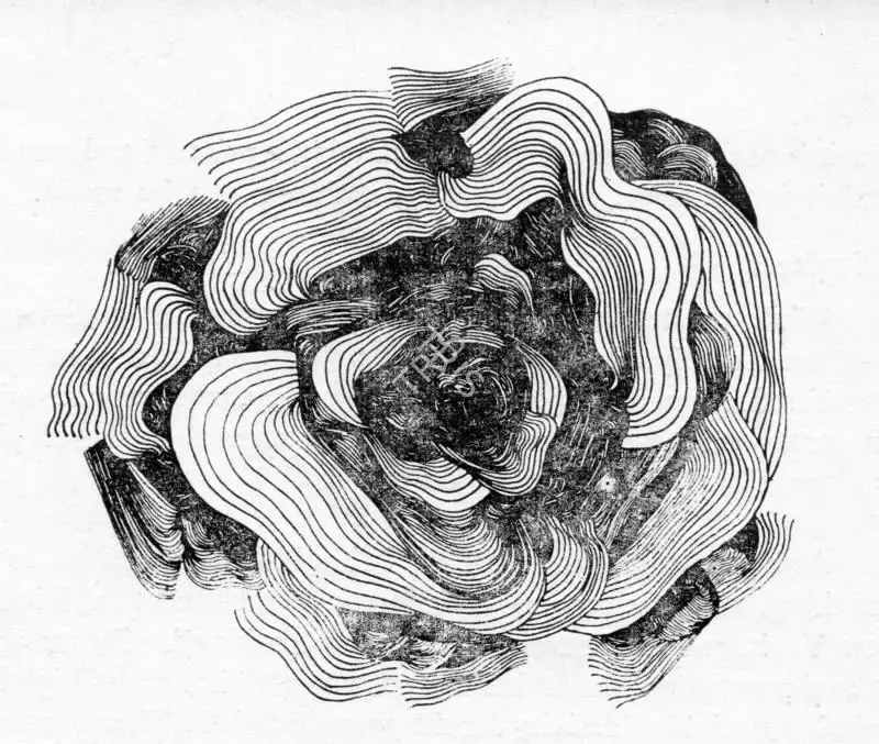 Mridula Krishna (Artist), Drawing, Graphic Art