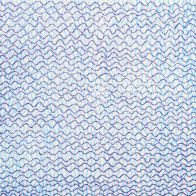 Shobha Broota (Artist), Orchestra 1, 2003, Painting