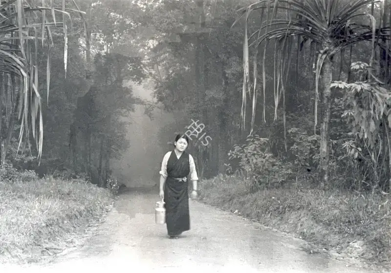 Soumendu Roy (Cinematographer), Sikkim, 1971, Photographic Still