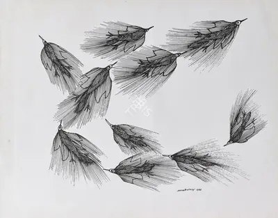 Jangarh Singh Shyam (Artist), Untitled (Birds) (Gond Art), 1996, Painting