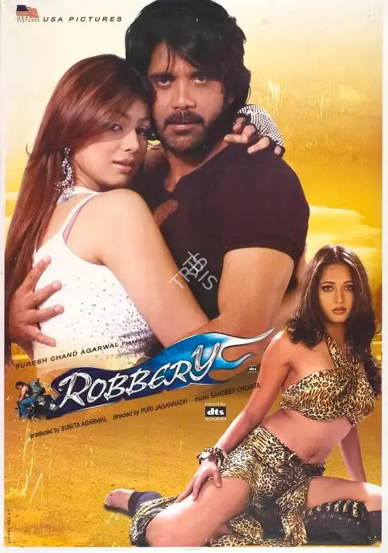Sunita Agarwal (Producer), Robbery, 2006, Full Sheet Poster