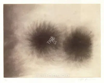 Anish Kapoor (Artist), Untitled, 1995, Graphic Art