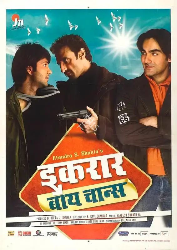 Reeta J. Shukla (Producer), Iqraar By Chance, 2006, Full Sheet Poster