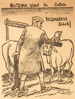 Basu Chatterjee (Cartoonist), The Congress Bulls !, 1959, Cartoons