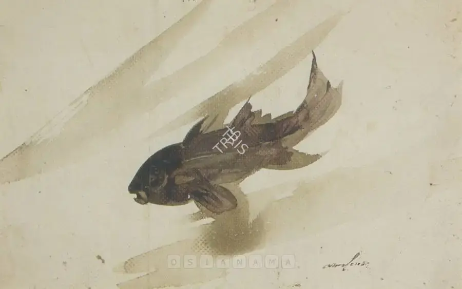 Ghose, Gopal (Artist). Fish, n.d. | Painting, Ch.NeY/20.09.00, 2000 · Christie's