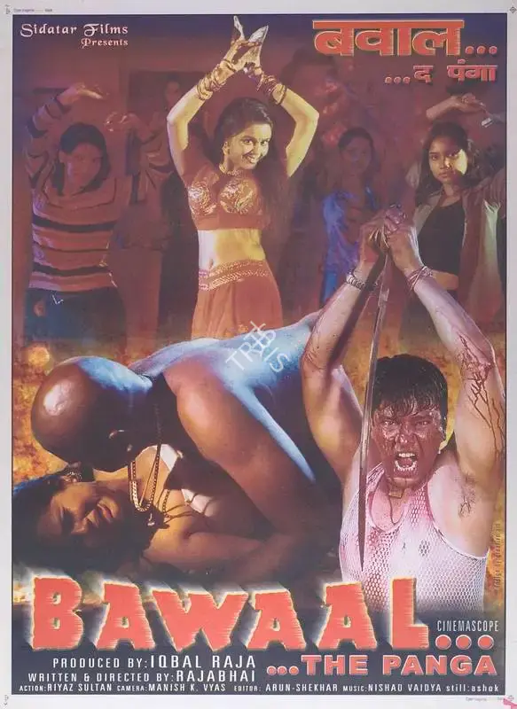 Iqbal Raja (Producer), Bawaal, 2003, Full Sheet Poster