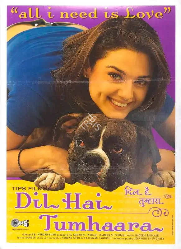 Kumar S. Taurani (Producer), Dil Hai Tumhaara, 2002, Full Sheet Poster