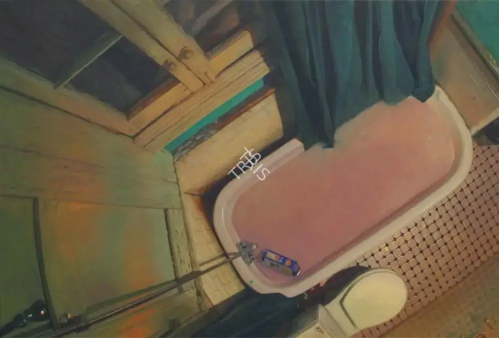 Abir Karmakar (Artist), Untitled (Probably from Pornographic Interiors), 2010, Painting