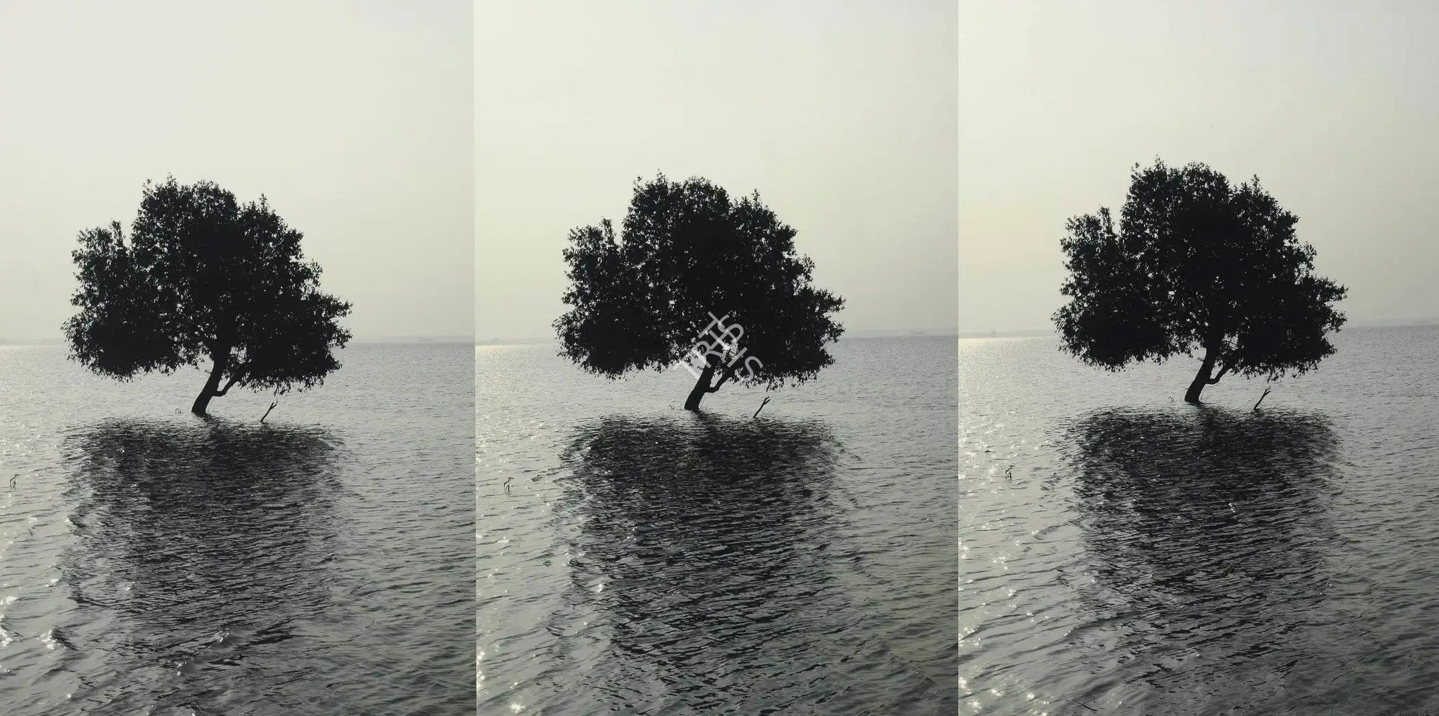 Atul Bhalla (Artist), Alone And Again, 2007, Print