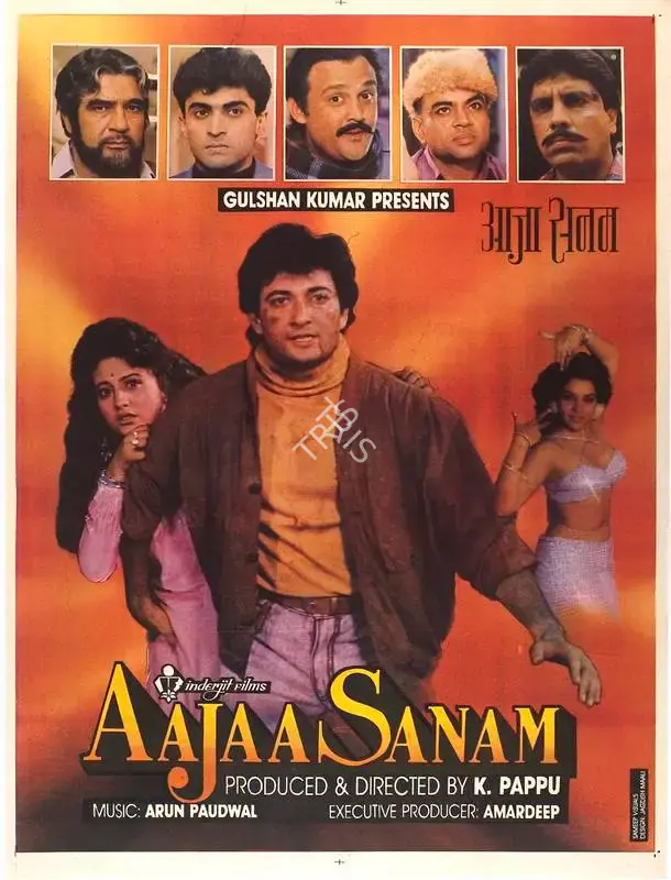 K. Pappu (Producer), Aajaa Sanam, 1994, Full Sheet Poster