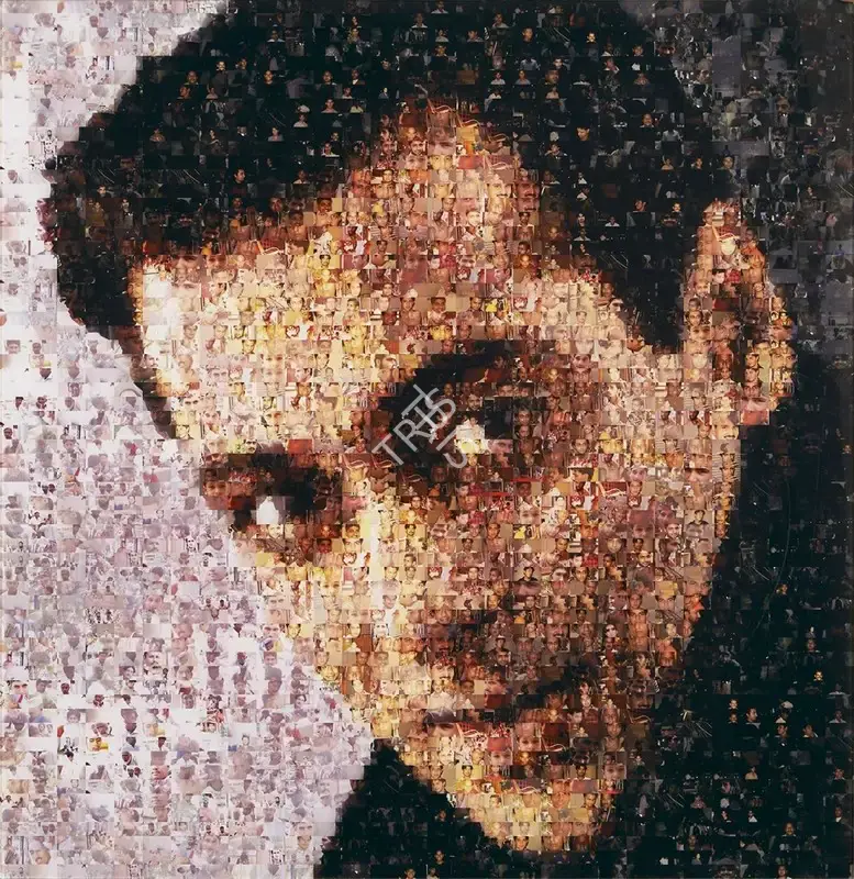 Rana, Rashid (Artist). Ommatidia II (Salman Khan), 2004 | Print, AG.Onl/18.10.16, 2016 · Asta Guru