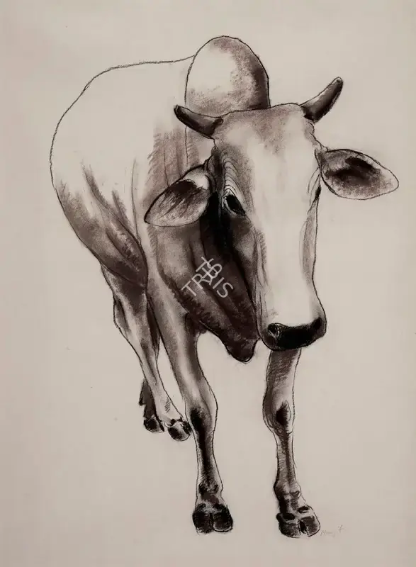 Manjit Bawa (Artist), Untitled (Cow), 1991, Drawing